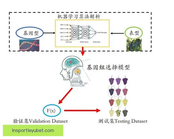 世界杯竞猜结果深度分析与未来赛果趋势全面预测