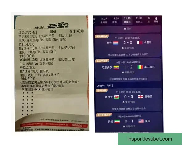 世界杯胜负分析与竞猜技巧全面解析助你预测准确率提升